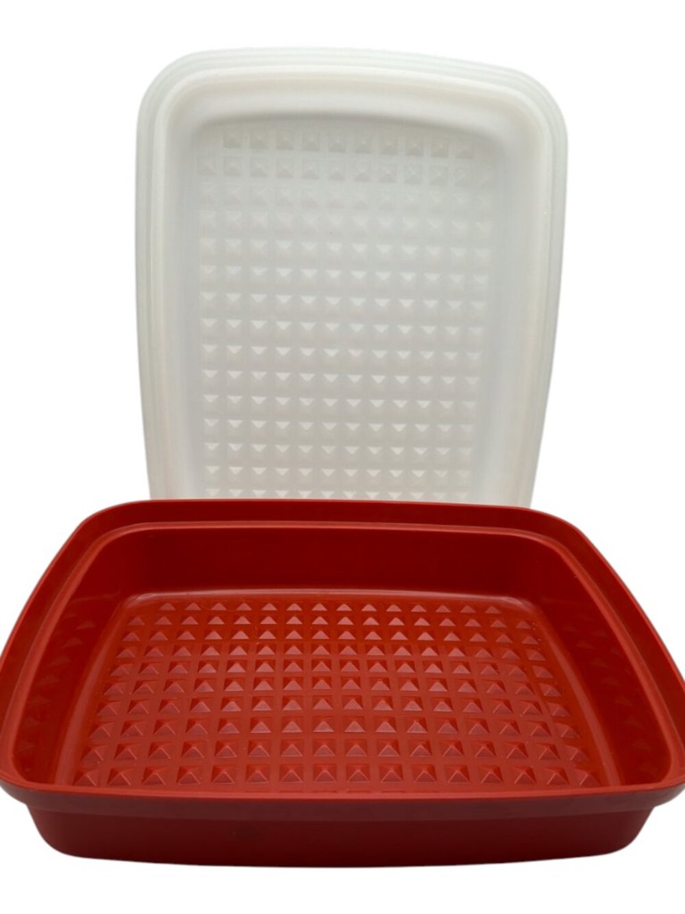Tupperware Junior Season Serve Marinade Paprika Orange 1518 Sheer Lid Marinator